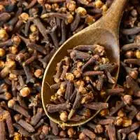 Cloves