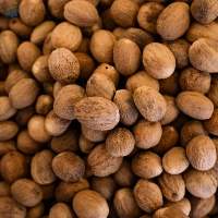 Premium Grade Export Kerala Nutmegs