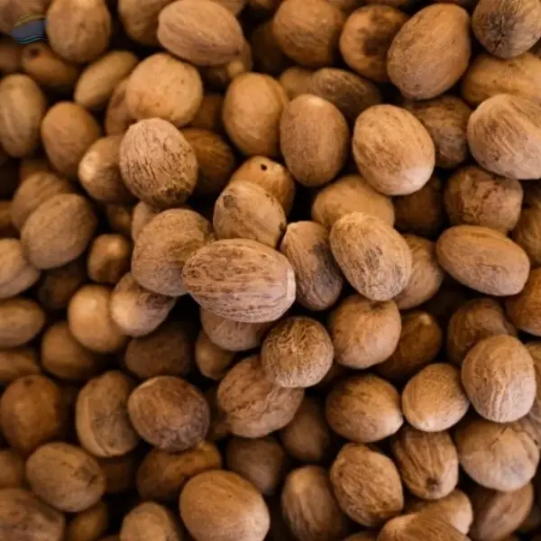 Premium Grade Export Kerala Nutmegs