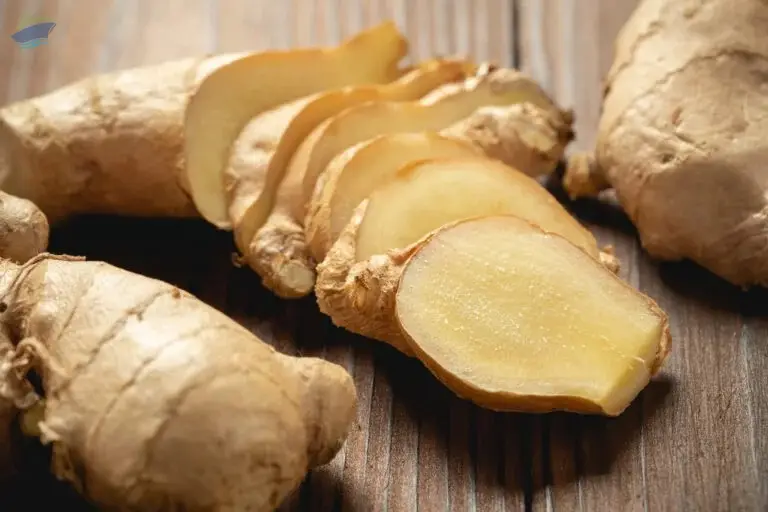100% Natural Export Grade Fresh Ginger