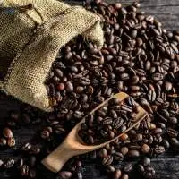 100% Natural Premium Robusta Coffee Beans