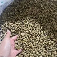 Arabica Green Beans