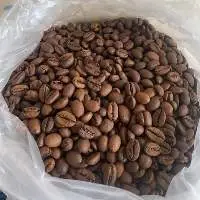 Robusta Roasted Beans