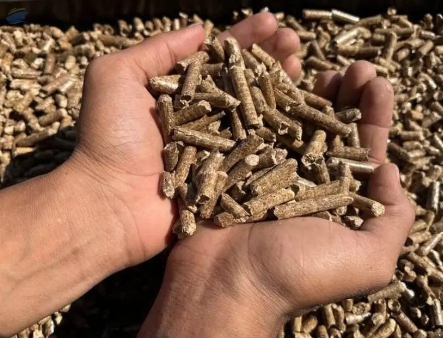 6mm Biomass Pinewood Pellets