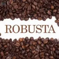 AA Robusta Green Coffee Beans