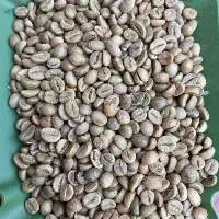 Vietnam Robusta Green Coffee Beans