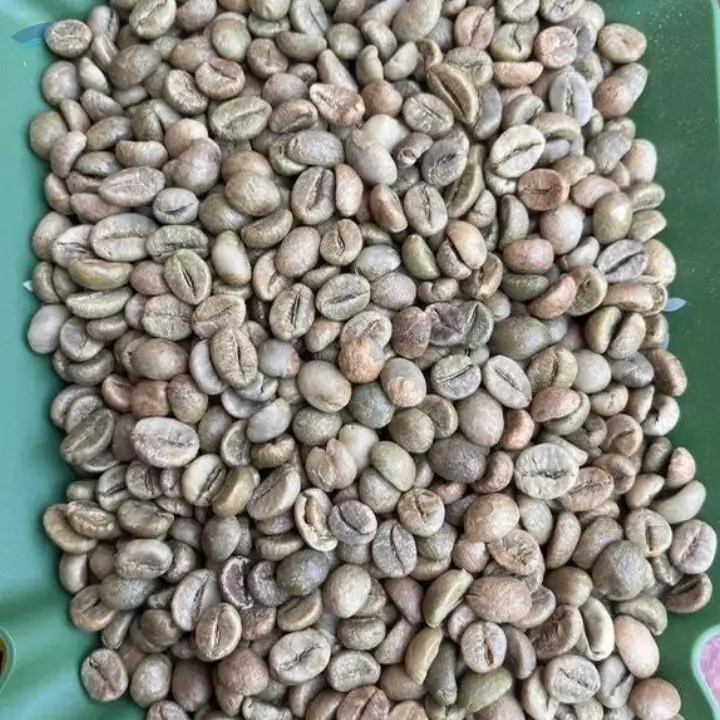 Vietnam Robusta Green Coffee Beans