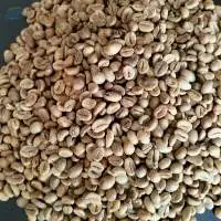 Indonesian Green Robusta Coffee Beans
