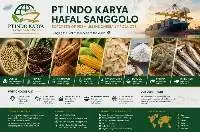 Indonesian Green Robusta Coffee Beans