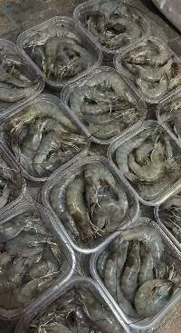 Fresh Cleaned Shrimps Ready To Cook