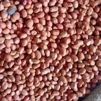 Dry Peanuts  (Groundnut)