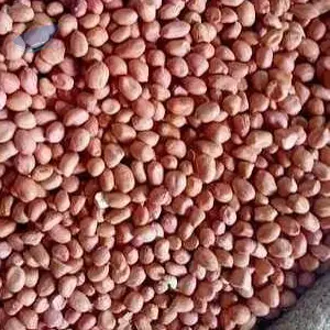 Dry Peanuts  (Groundnut)