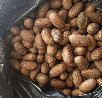 Bitter Kola Nut (Garcinia kola), Premium quality