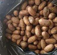 Bitter Kola Nut (Garcinia kola), Premium quality