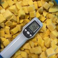 IQF Frozen Mango Dices | Premium Vietnam Mango