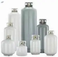 Liquefied Petroleum Gas (LPG)
