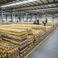 Sunflower Oil