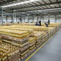 Sunflower Oil