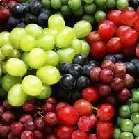 Premium Fresh Indian Grapes for Global Export