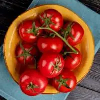 Premium Fresh Indian Tomatoes for Global Export