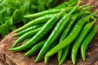 Premium Fresh Indian Green Chilli for Export