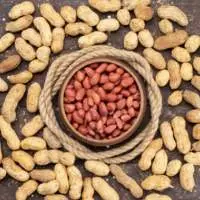 Premium Indian Pure Peanuts for Export