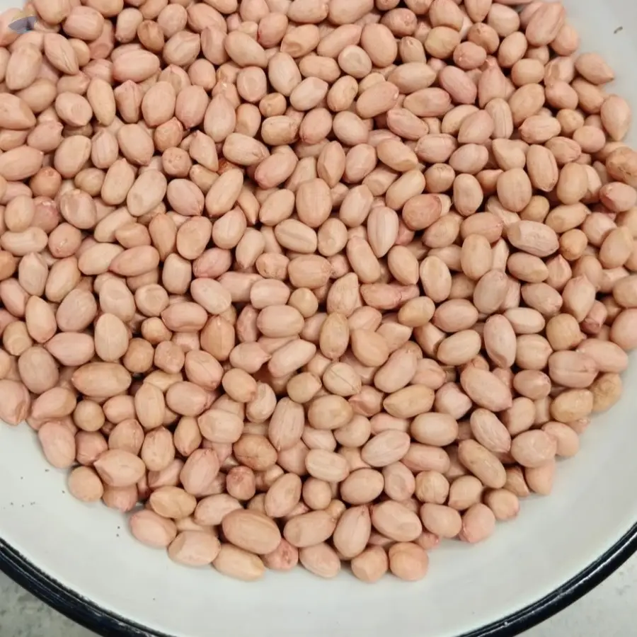 Peanut