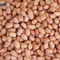 Premium Quality Peanuts (Groundnuts)