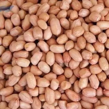 Premium Quality Peanuts (Groundnuts)