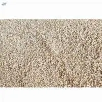 Cashew Kernels