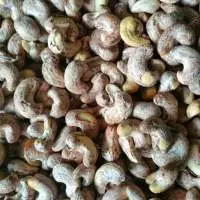 Cashew Kernels
