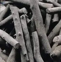 Finger Charcoal