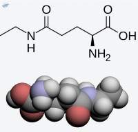 L Theanine