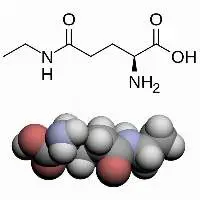 L Theanine