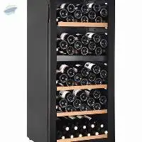 Dual Zone Wine Refrigerator Manufacturer