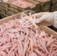 Frozen Chicken Paws, Chicken Feet