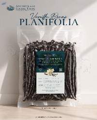 Vanilla Planifolia Java Island