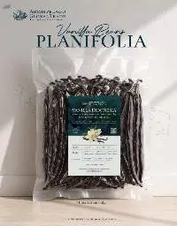 Vanilla Planifolia Sulawesi Island