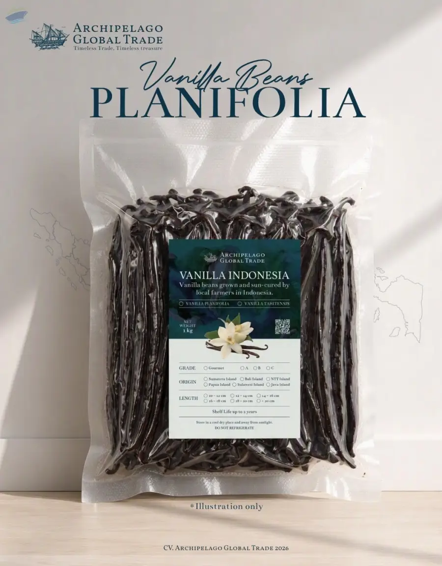Vanilla Planifolia Sulawesi Island