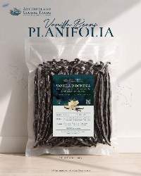 Vanilla Planifolia Sumatra Island