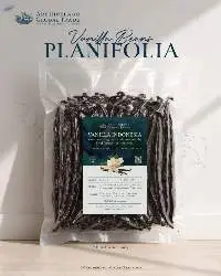 Vanilla Planifolia Papua Island