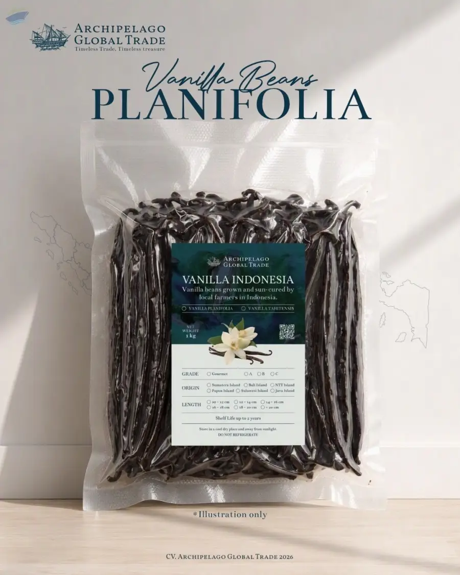 Vanilla Planifolia Papua Island