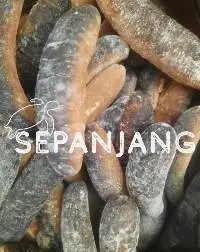 Premium Dried Sandfish (Holothuria scabra)