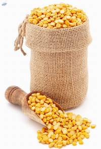 Premium Quality Chana Dal Split Chickpeas
