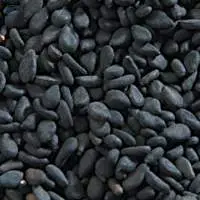 High Export Quality Black Sesame Seeds