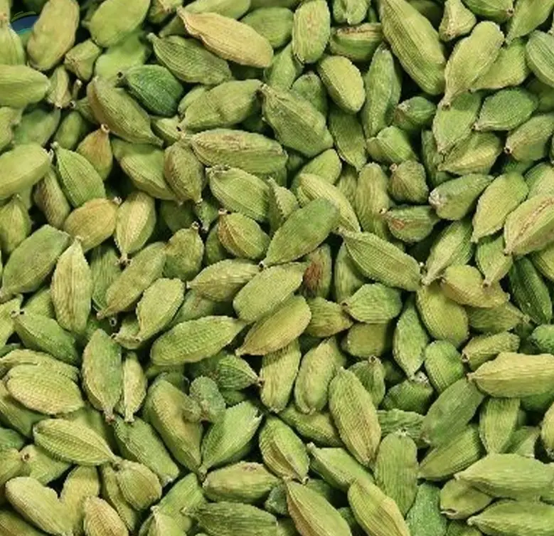 High Quality Whole Green Cardamom Pods