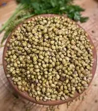 Premium Export Quality Coriander Seeds