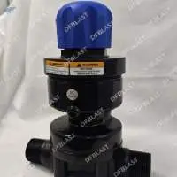 Thompson Valve