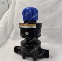 Thompson Valve
