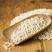 Barley